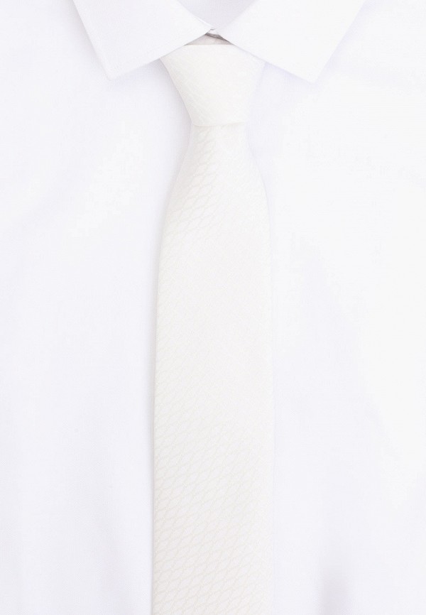 Галстук и платок Ir.Lush цвет белый  Фото 3