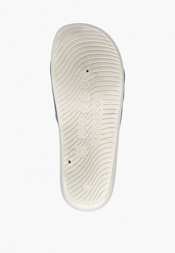 фото Сланцы cartago