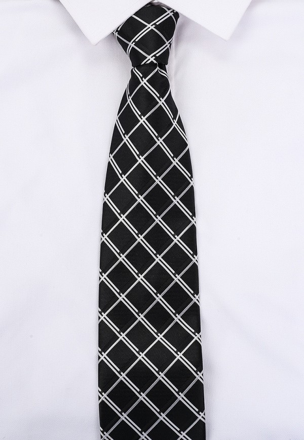 фото Галстук и платок ir.lush