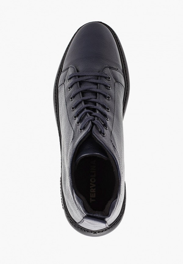 фото Кеды tervolina