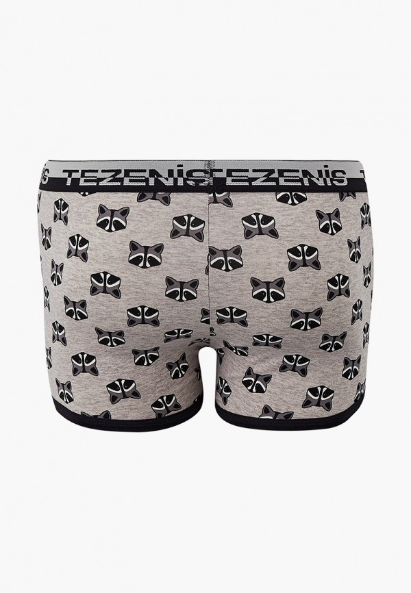 фото Трусы tezenis