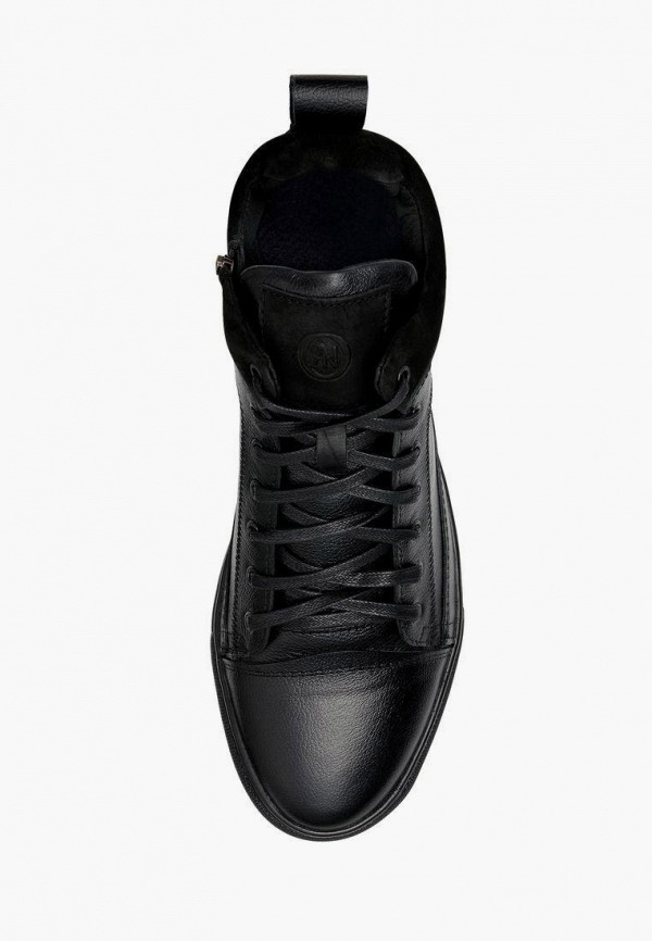 фото Кеды alessio nesca