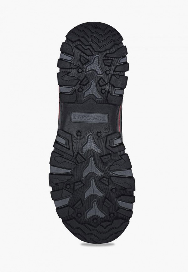 фото Кроссовки t.taccardi