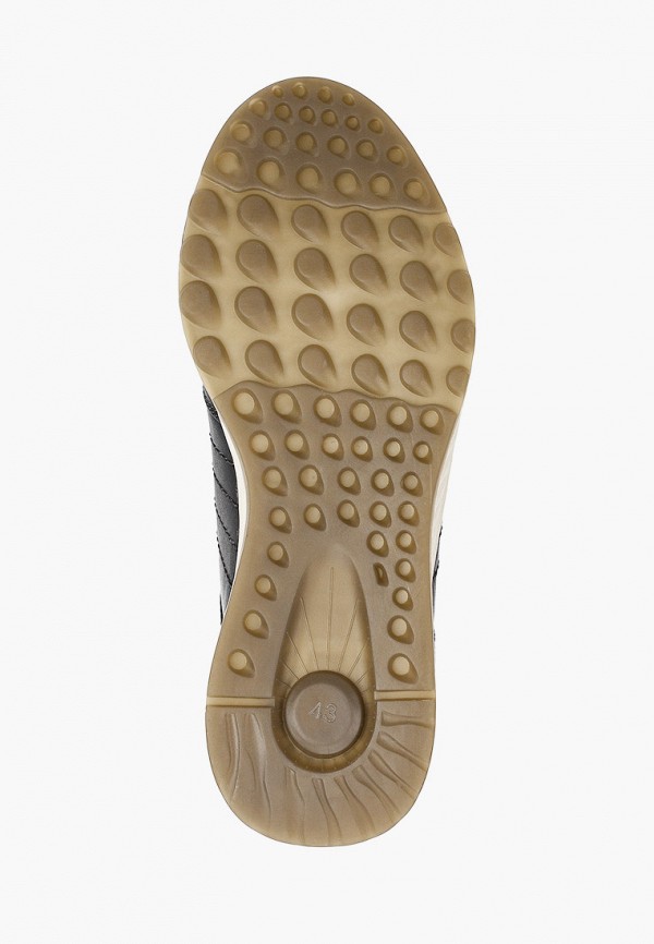 фото Кроссовки quattrocomforto