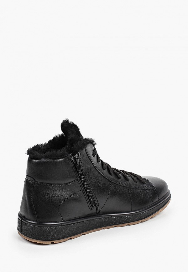 фото Кеды ralf ringer