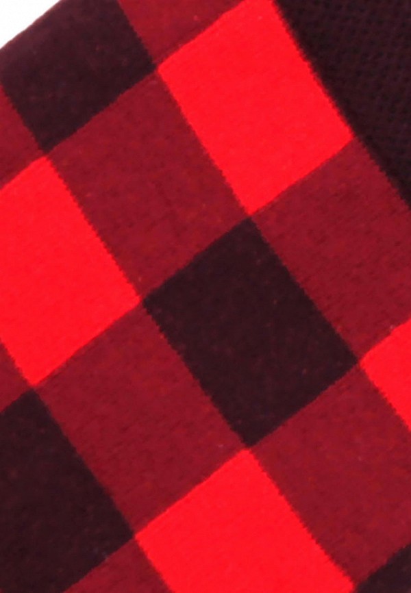 фото Носки tezido