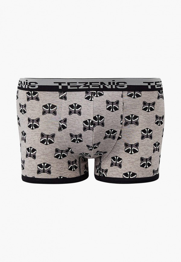 

Трусы Tezenis, Серый, Tezenis MP002XM1RLZR
