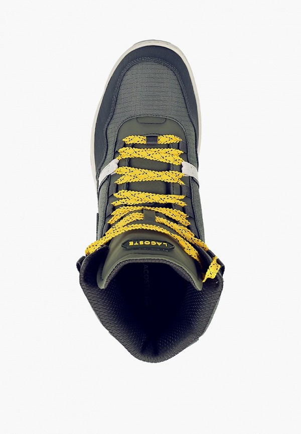 фото Кеды lacoste