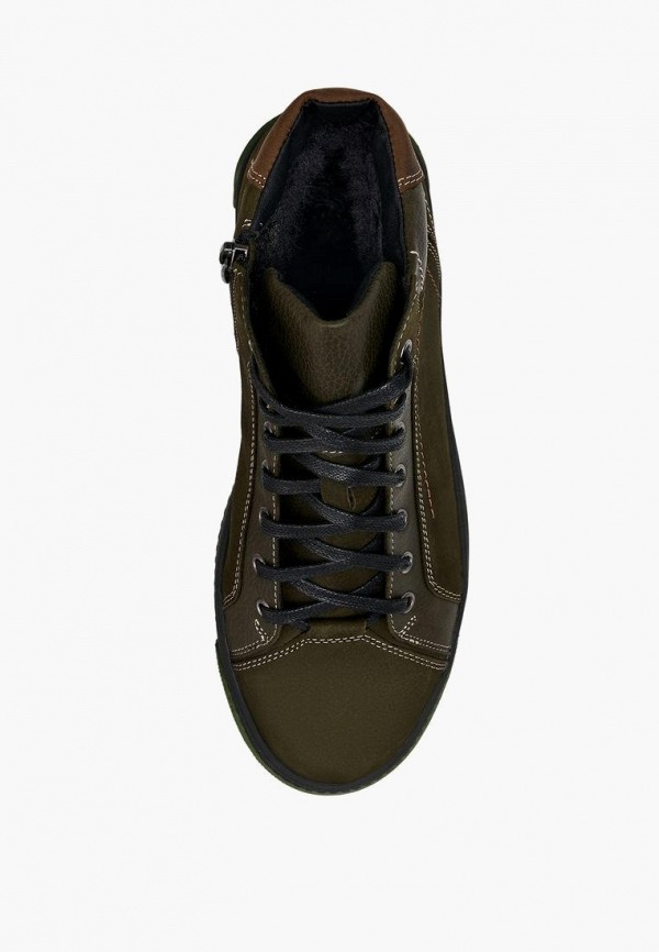 фото Кеды alessio nesca