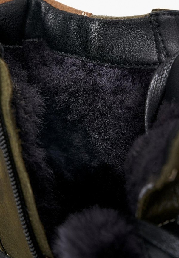 фото Кеды alessio nesca