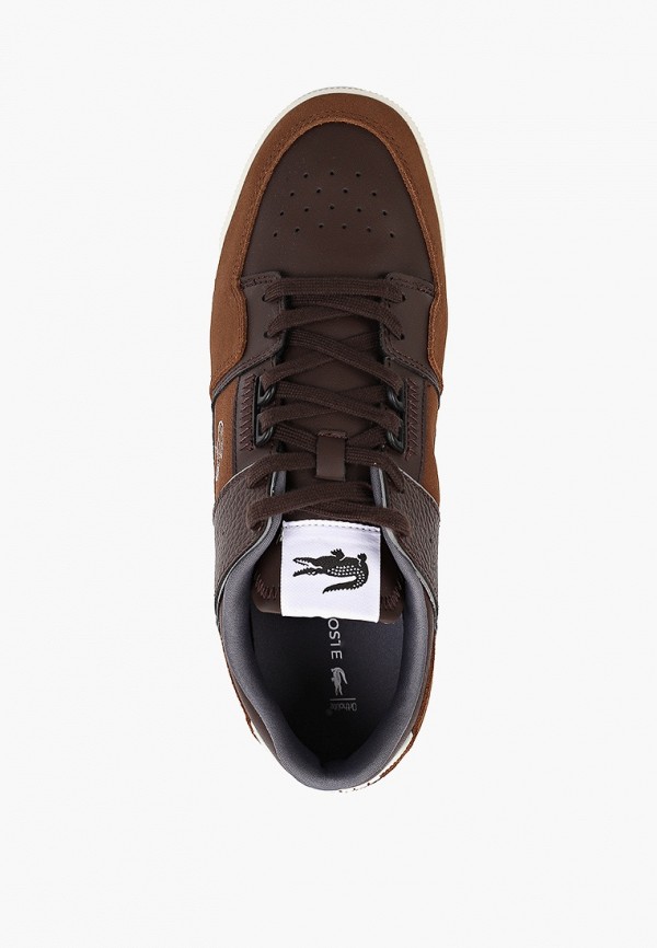 фото Кеды lacoste