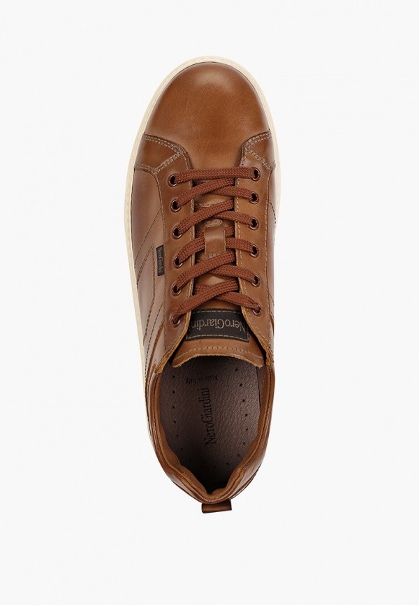 фото Кеды nero giardini