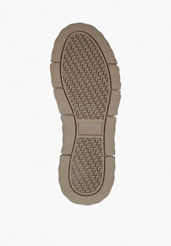 фото Кеды briggs