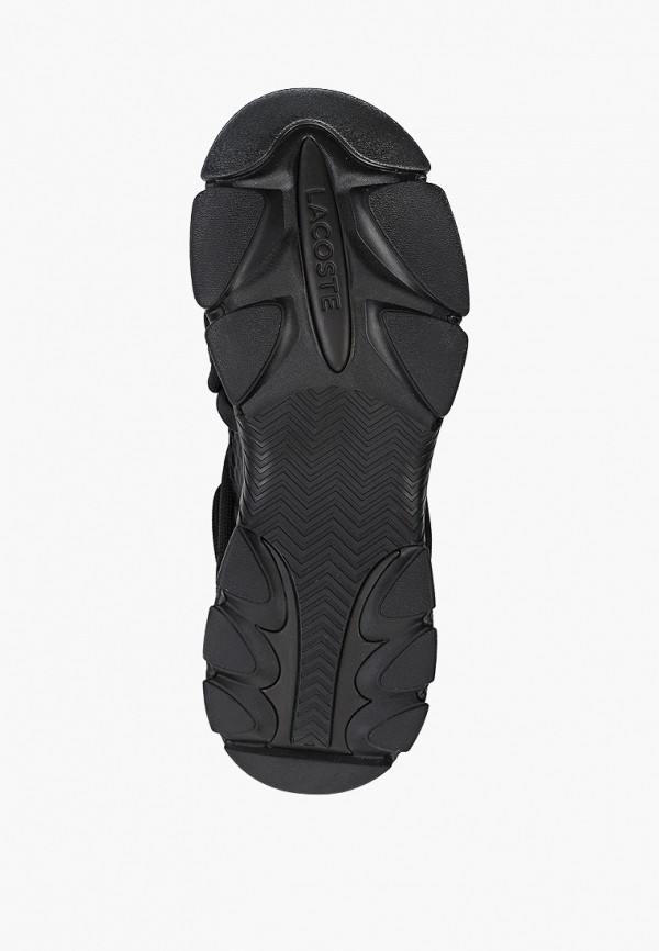 фото Кроссовки lacoste