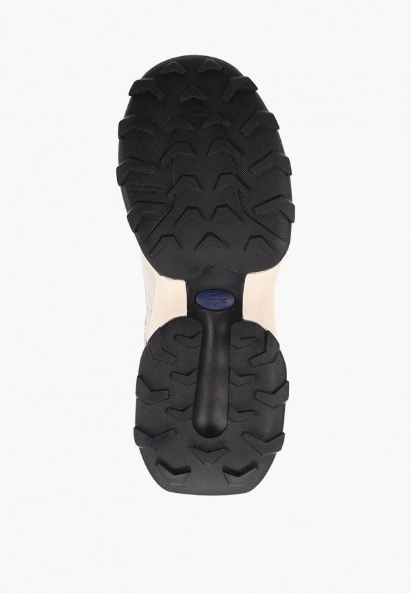 фото Кроссовки lacoste