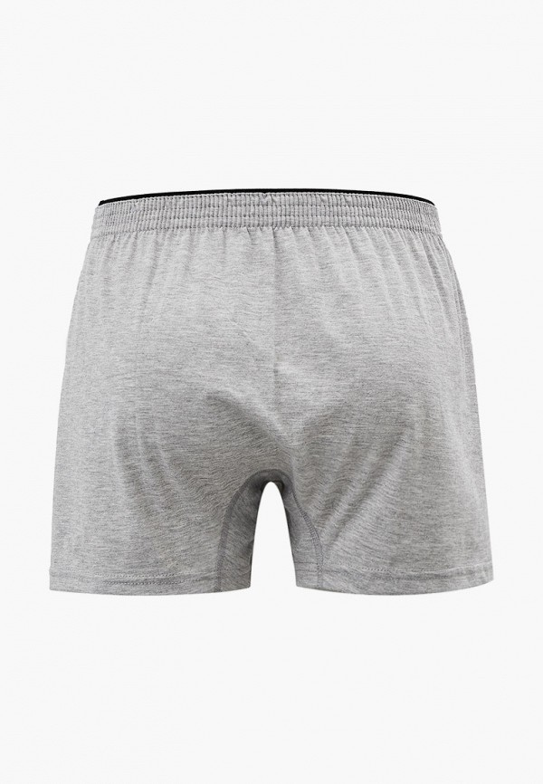 Трусы Oztas серый, размер 48, фото 2