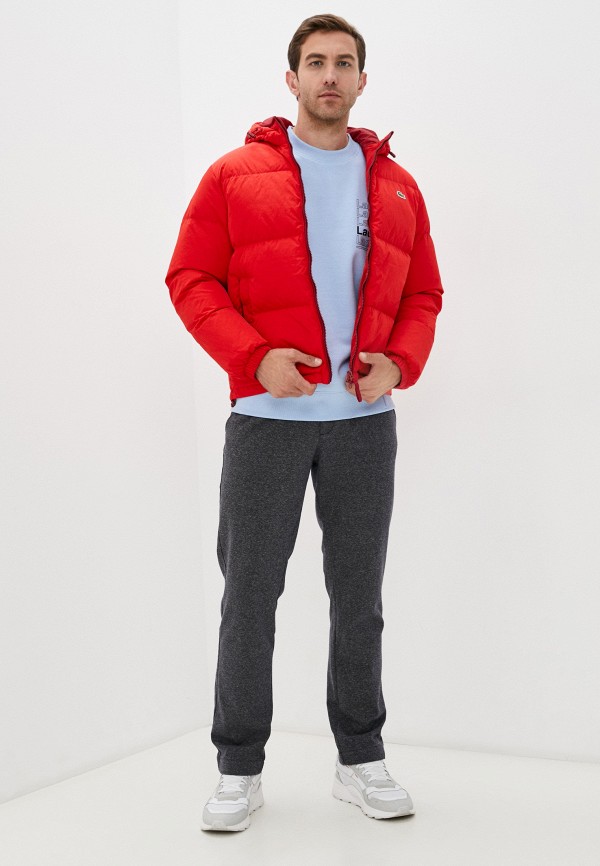 фото Пуховик lacoste