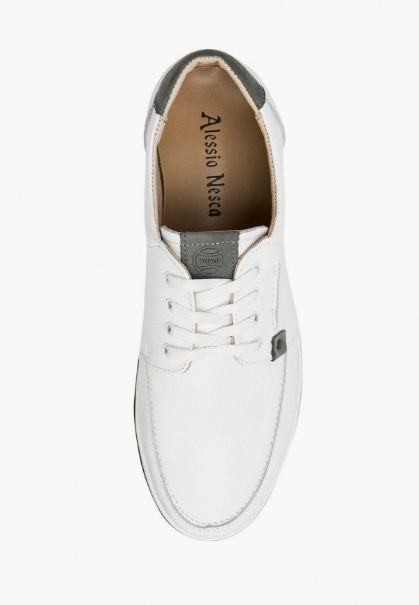 фото Кеды alessio nesca