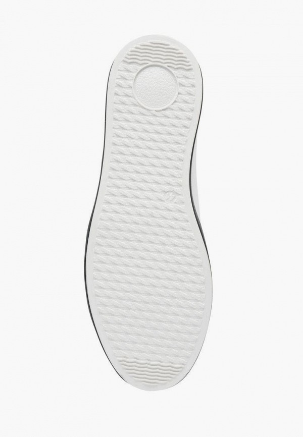 фото Кеды alessio nesca