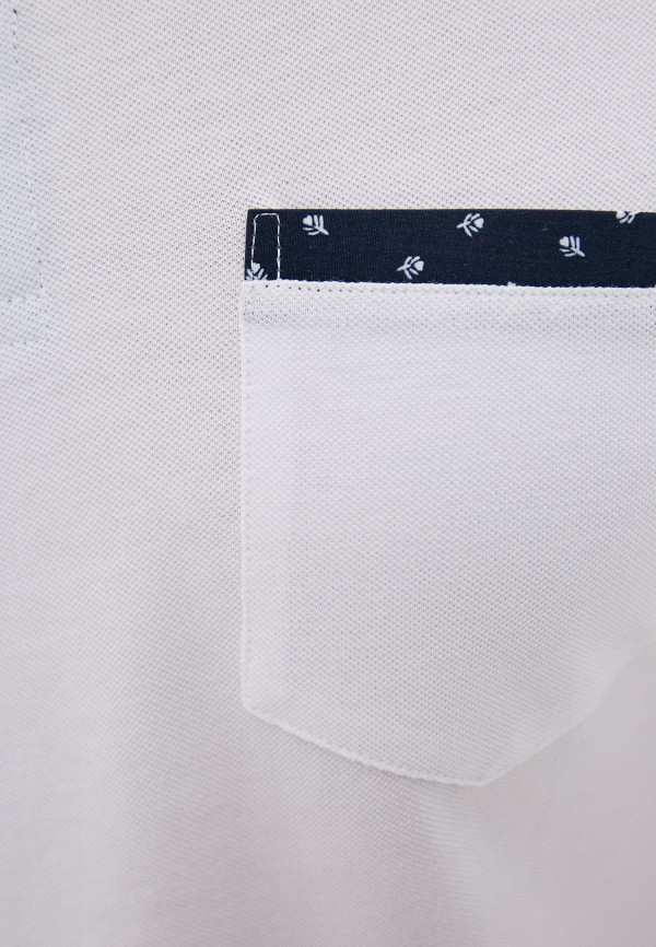 фото Поло d.s