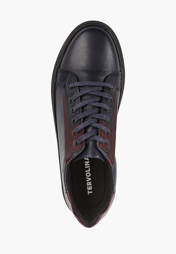 фото Кеды tervolina