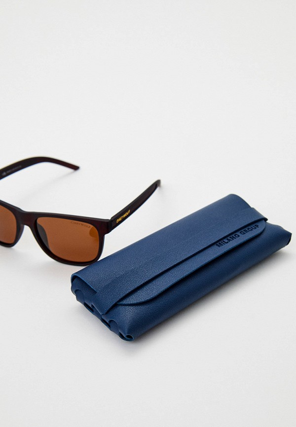 фото Очки солнцезащитные greywolf