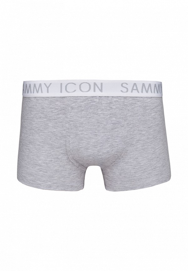 

Трусы Sammy Icon, Серый