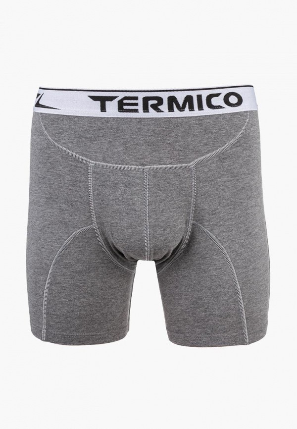

Трусы Termico, Серый