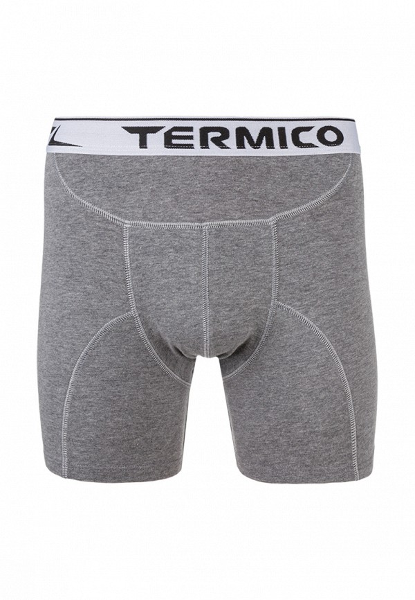 

Трусы Termico; Termico MP002XM24315, Серый