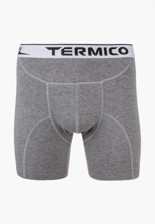 

Трусы Termico, Серый