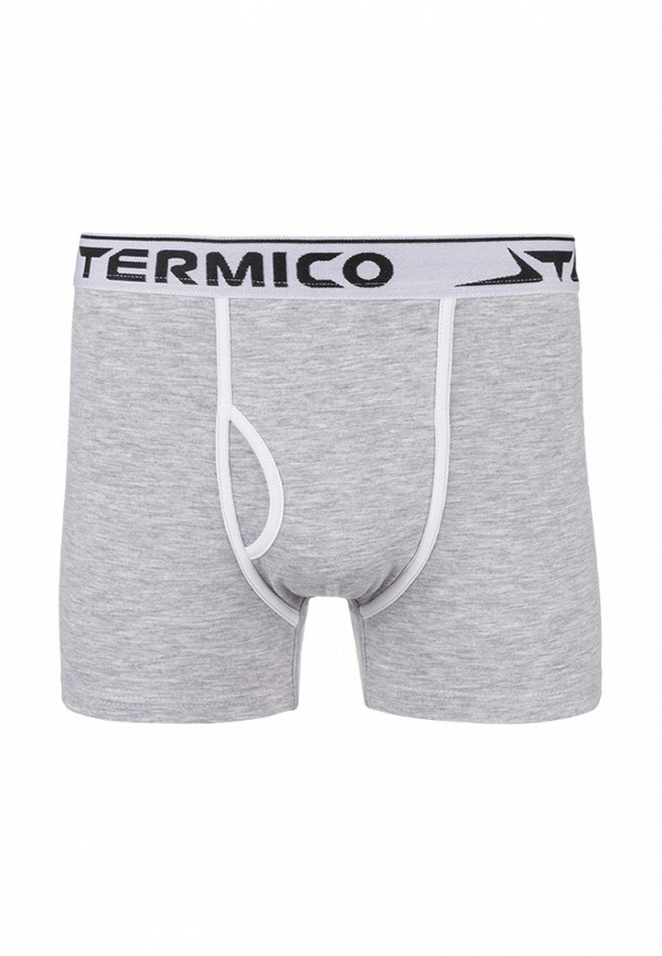 

Трусы Termico, Серый