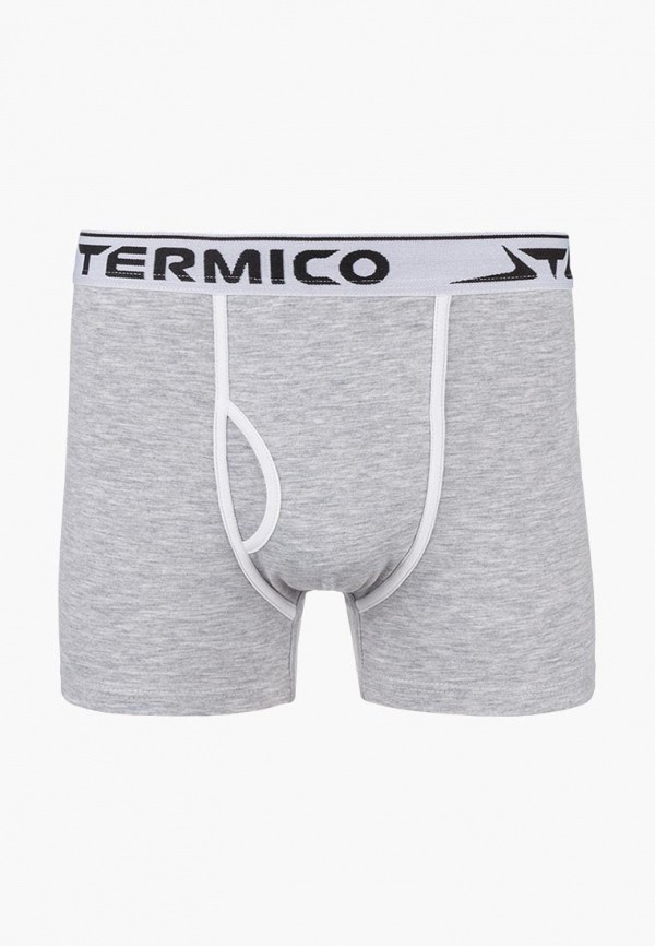 

Трусы Termico, Termico MP002XM2431D, Серый