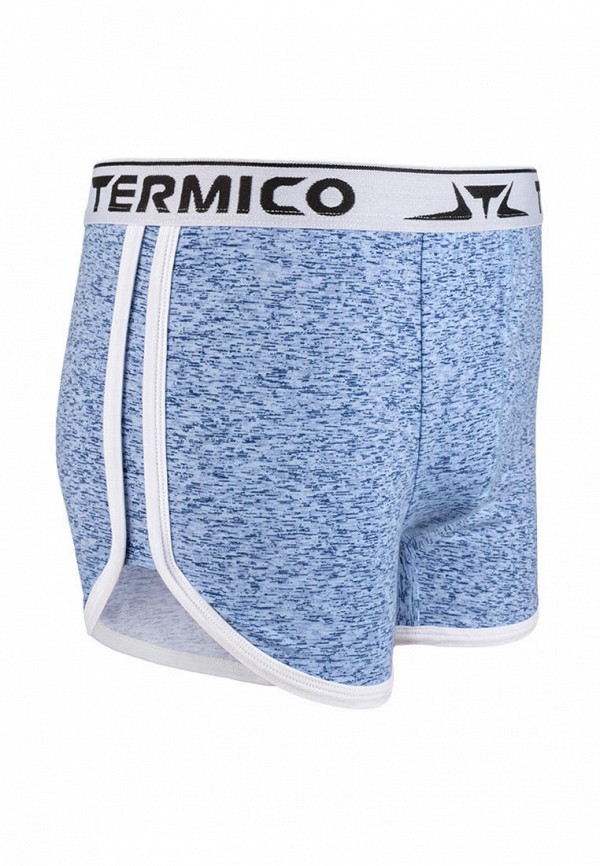 

Трусы Termico; Termico MP002XM2431U, Голубой