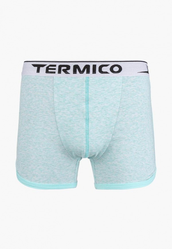 

Трусы Termico, Голубой, Termico MP002XM2431V