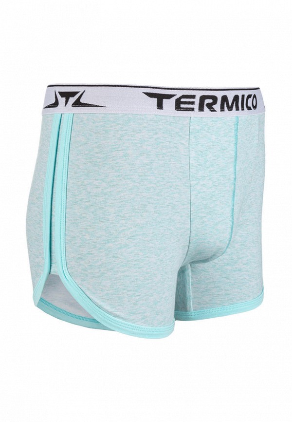 

Трусы Termico; Termico MP002XM2431V, Голубой