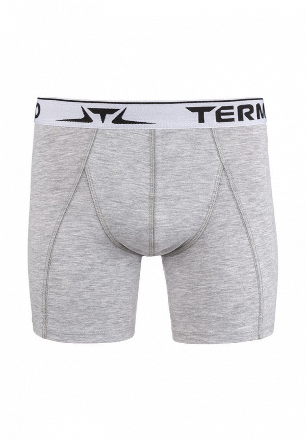 

Трусы Termico, Серый