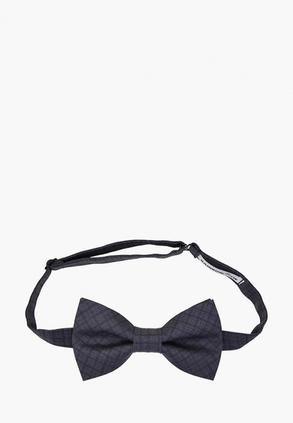 

Бабочка Rainbowtie, Серый