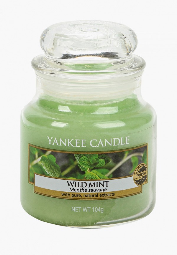 Свеча ароматическая Yankee Candle Yankee Candle MP002XU02Q2O ароматическая свеча yankee candle cherry blossom small jar candle объем 104 г