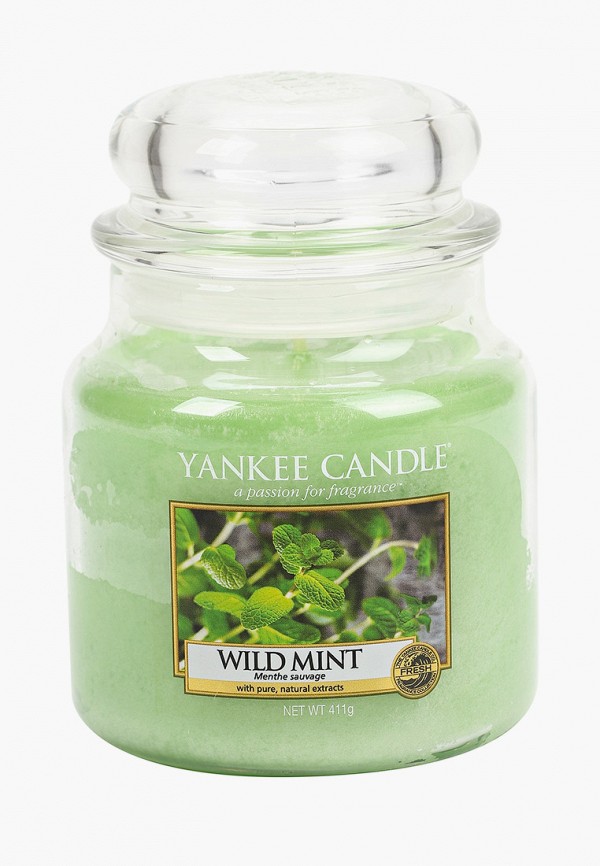 

Свеча ароматическая Yankee Candle, Зеленый, средняя в стеклянной банке Дикая мята Wild Mint 411 гр / 65-90 часов