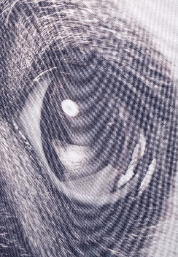 фото Штора для ванной fixsen