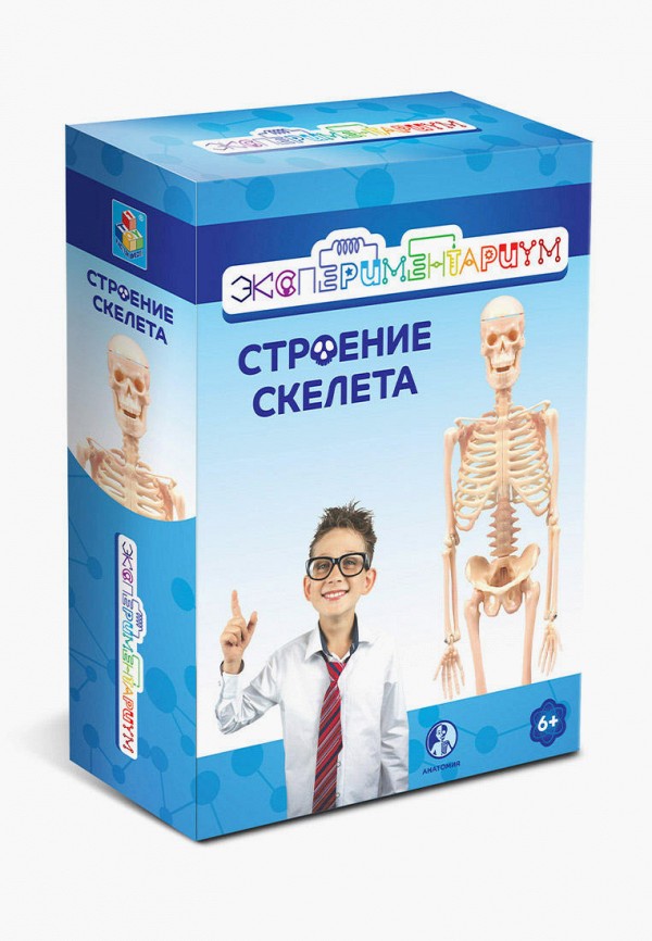 

Набор для опытов Экспериментариум, Разноцветный, "Строение скелета"