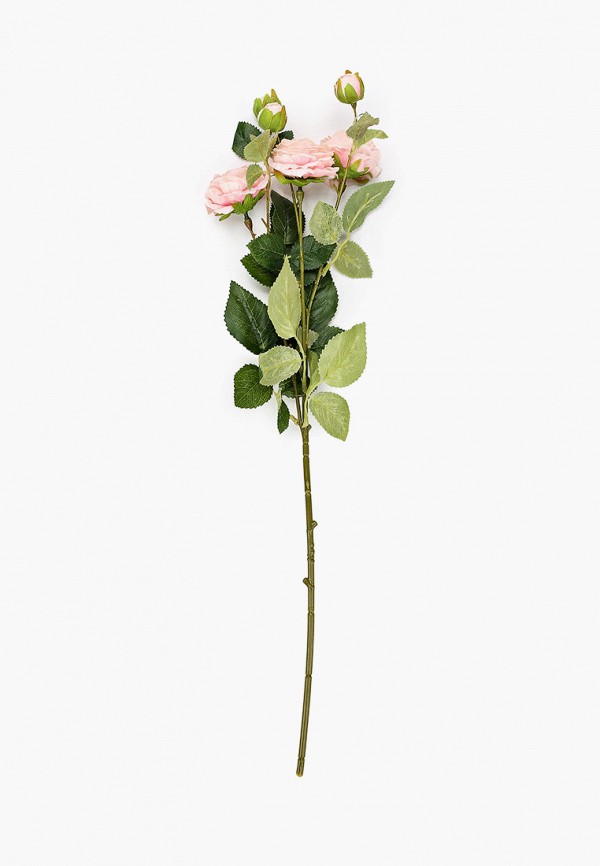 фото Растение искусственное nothing but love
