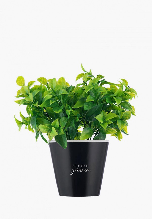 фото Растение искусственное vikki-nikki for women