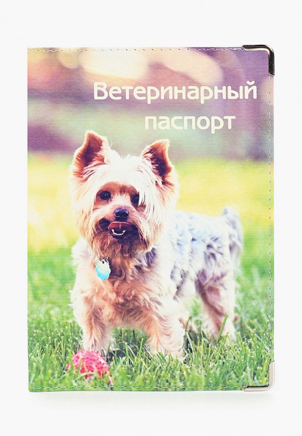 

Обложка для документов Modaprint, Разноцветный, для свидетельства о рождении