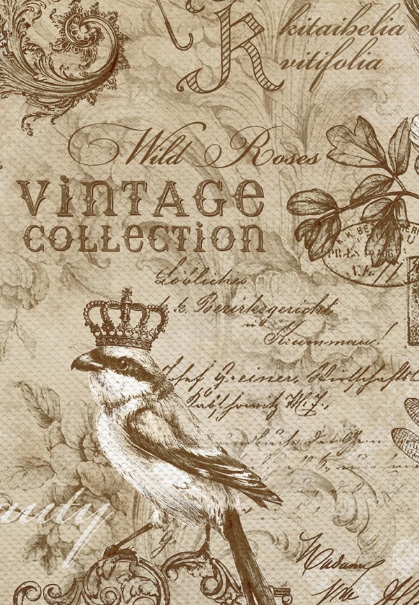 фото Чехол для одежды valiant