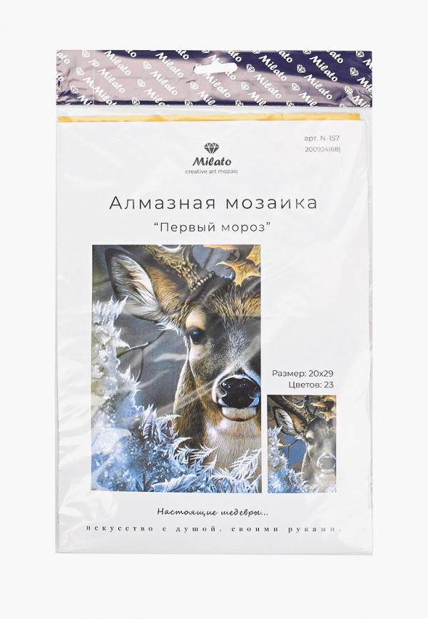 

Мозаика алмазная Милато, Разноцветный, "Первый мороз", 23 цветов
