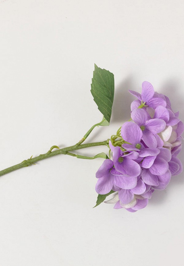 

Растение искусственное English Home, Фиолетовый, Wild Hortensia, 56 см