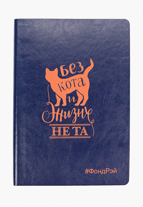 

Органайзер БФ Рэй, Синий