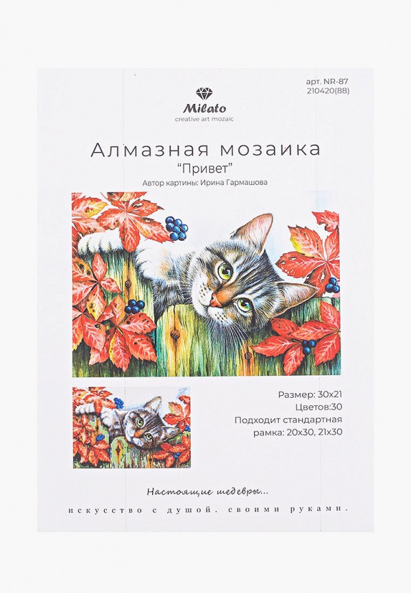 

Мозаика алмазная Милато, Разноцветный, Алмазная мозаика "Привет", 30 цветов