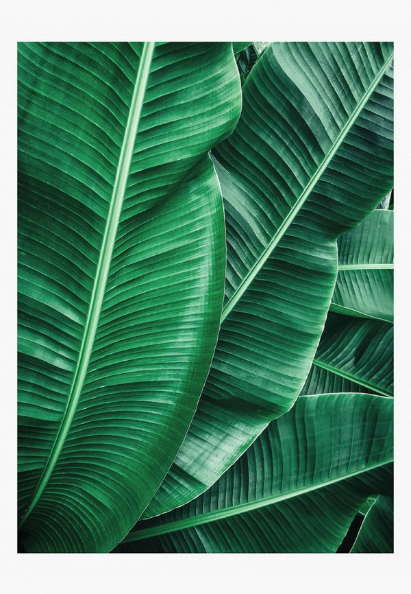 Green leaf отзывы